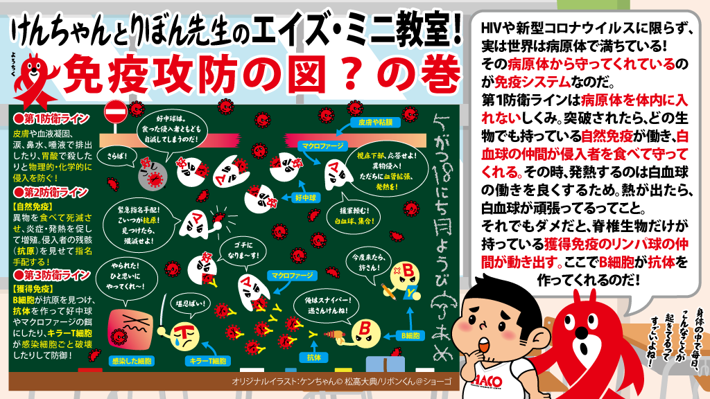 免疫攻防の図？の巻